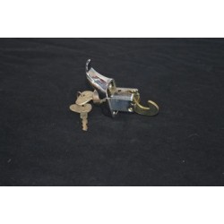 Motorklep slot kever